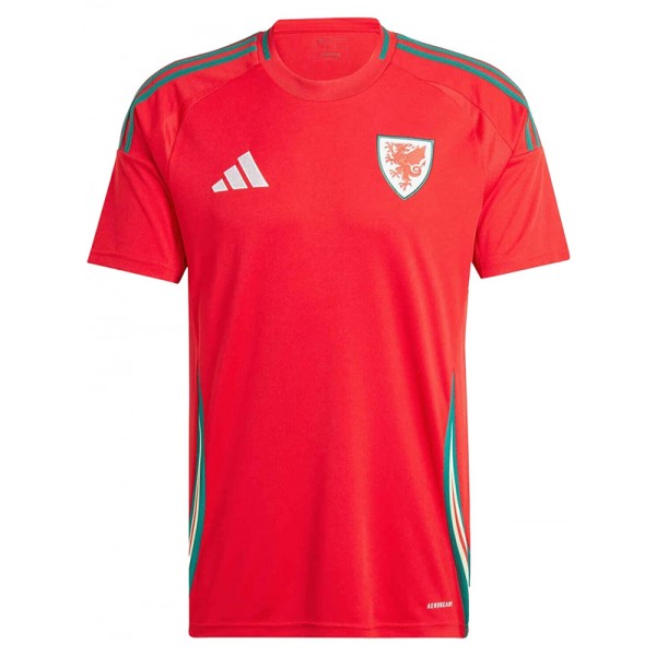 Wales maillot domicile uniforme de football premier kit de football homme maillot haut de sport coupe Euro 2024